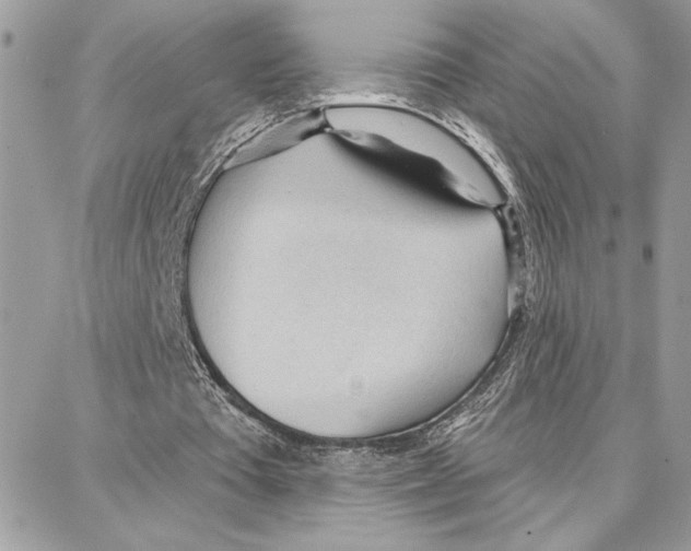 X0000087740385200706041042