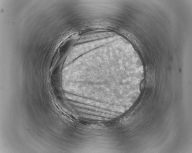 X0000087740386200706041042