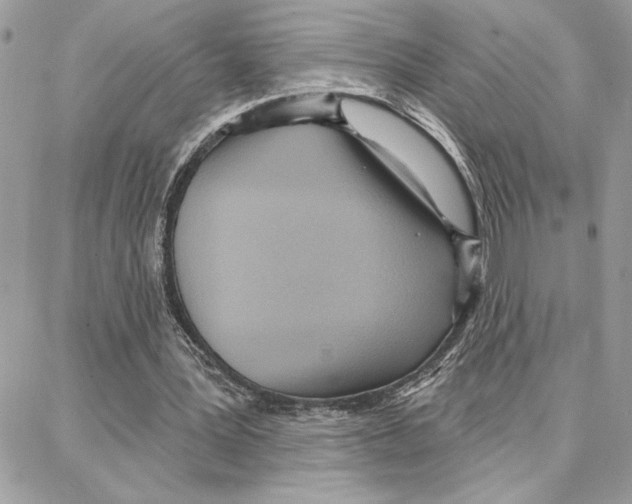 X0000087740387200706041042