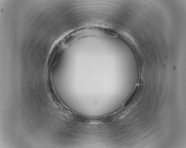 X0000087740388200706041042