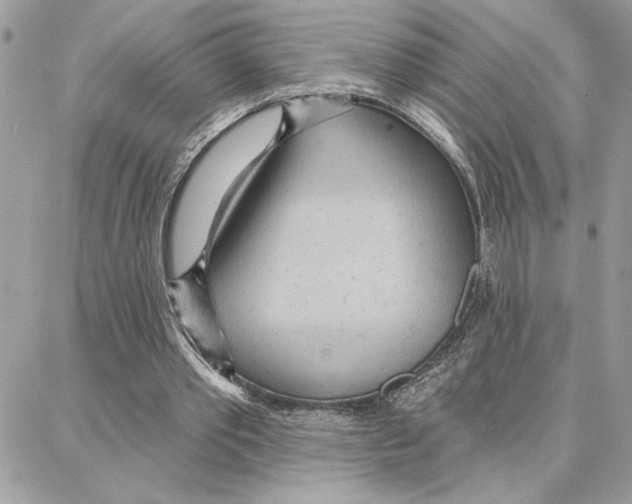 X0000087740389200706041042