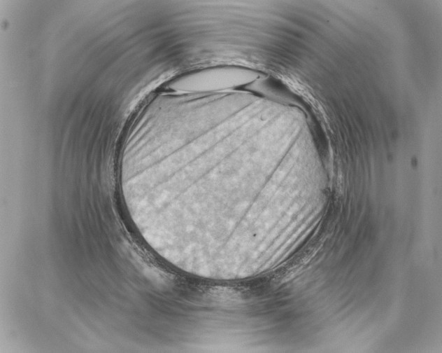 X0000087740390200706041042