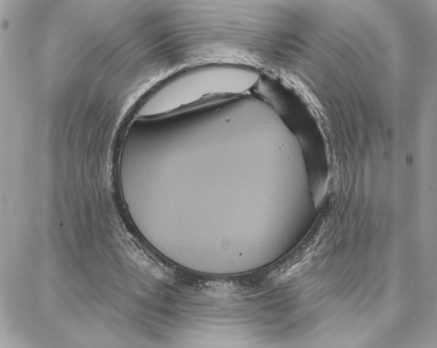 X0000087740391200706041042