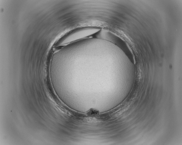 X0000087740392200706041042