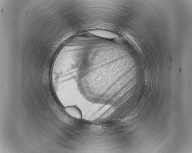 X0000087740394200706041042