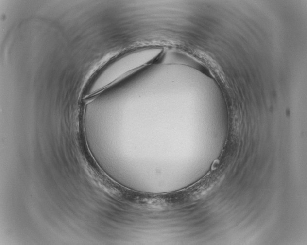 X0000087740395200706041042