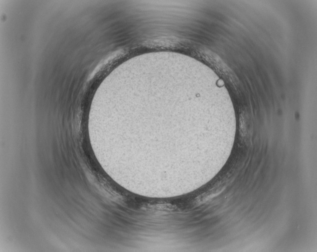 X0000087740396200706041042