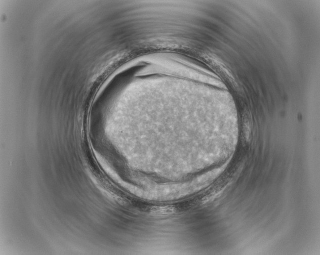 X0000087740398200706041042