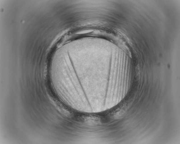 X0000087740400200706041042