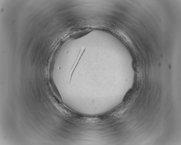 X0000087740401200706041042