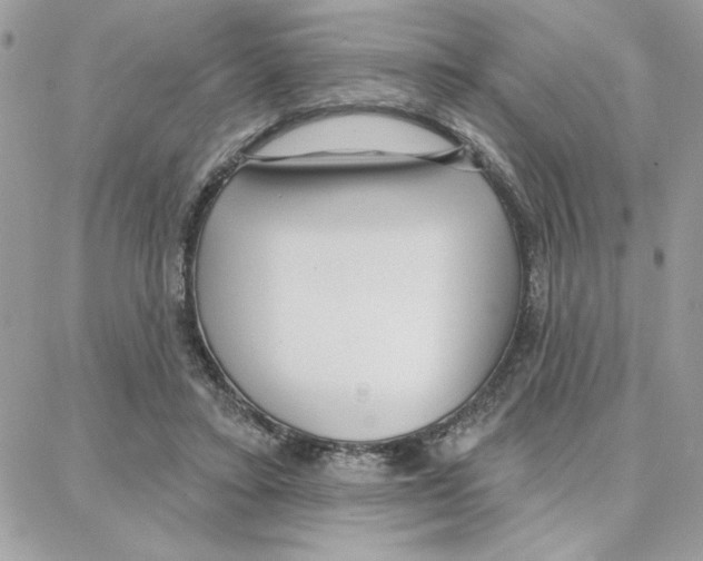 X0000087740403200706041042