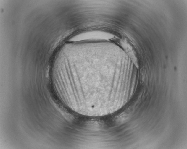 X0000087740404200706041042