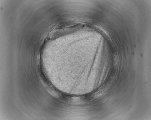 X0000087740406200706041042