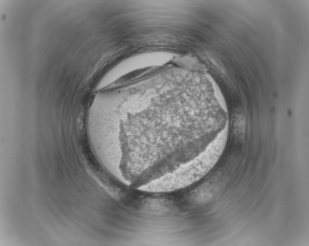 X0000087740408200706041042