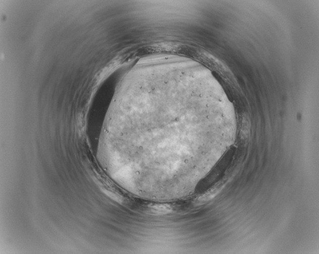 X0000087740409200706041042