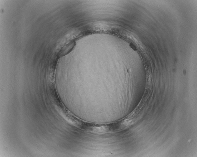 X0000087740411200706041042