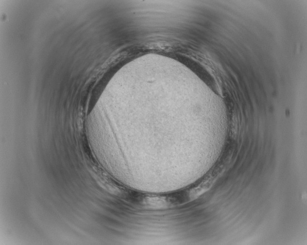 X0000087740413200706041041