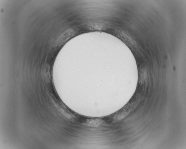 X0000087740414200706041041