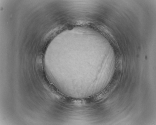 X0000087740415200706041041