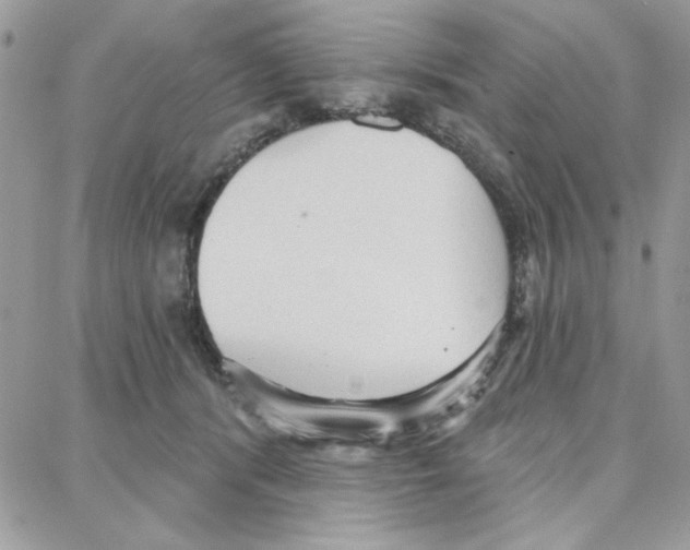 X0000087740416200706041041