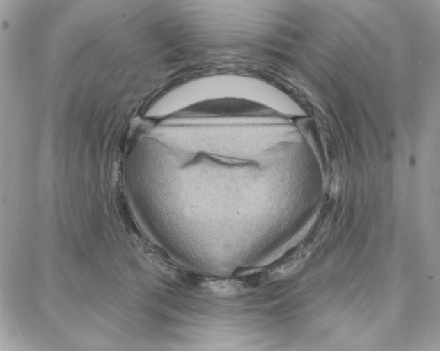 X0000087740417200706041041