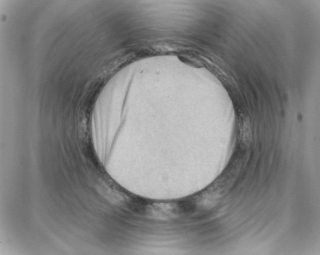 X0000087740418200706041041