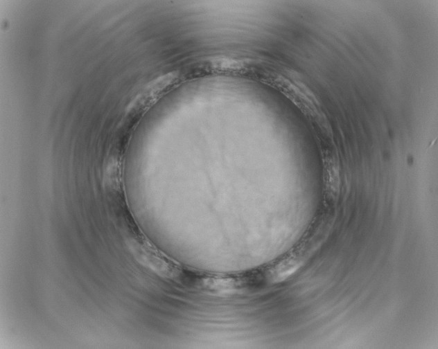 X0000087740419200706041041