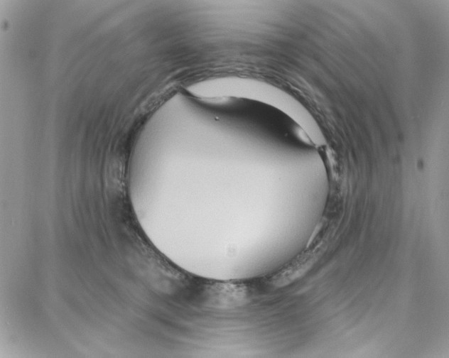 X0000087740421200706041041