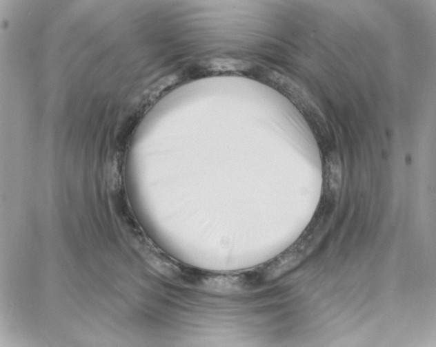 X0000087740422200706041041