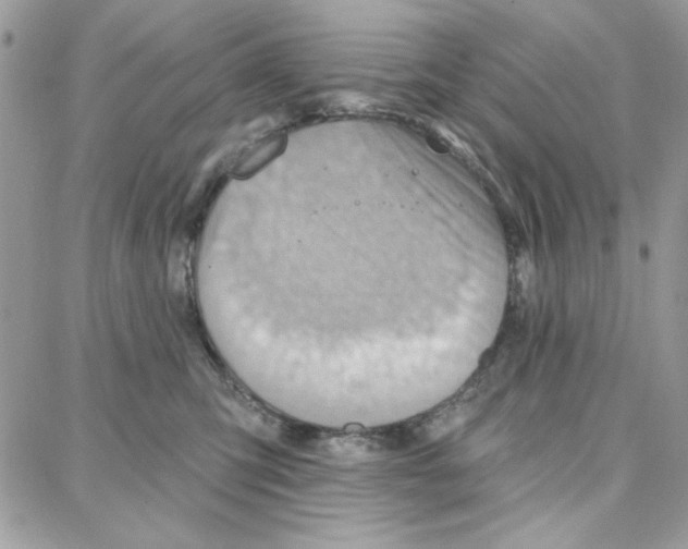 X0000087740423200706041041