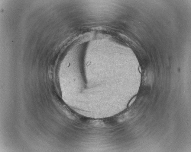 X0000087740424200706041041