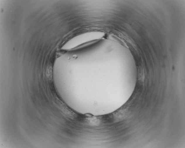 X0000087740425200706041041