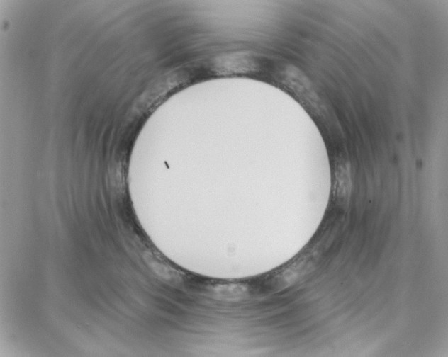 X0000087740426200706041041