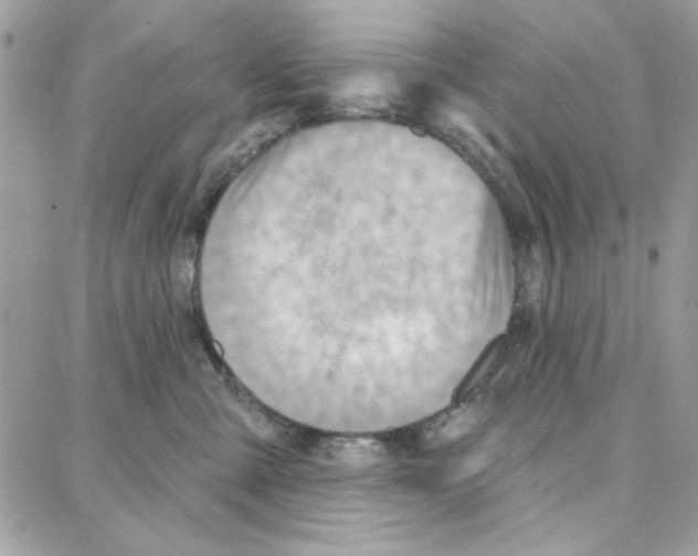 X0000087740427200706041041