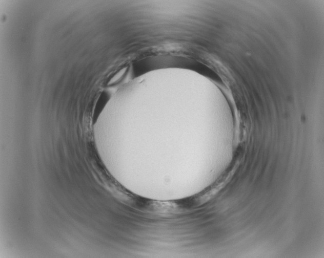 X0000087740429200706041041