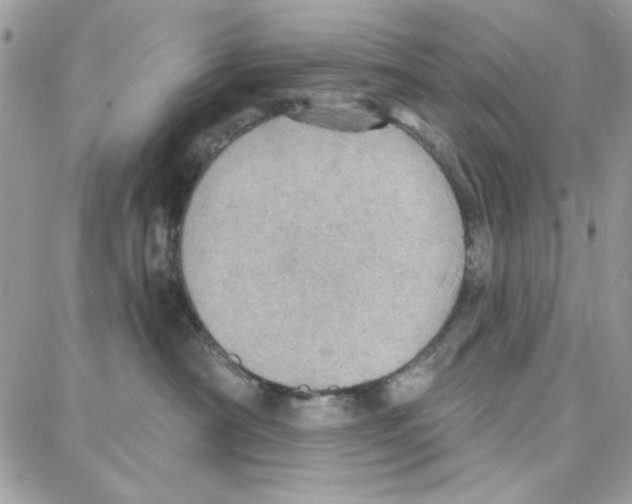 X0000087740430200706041041