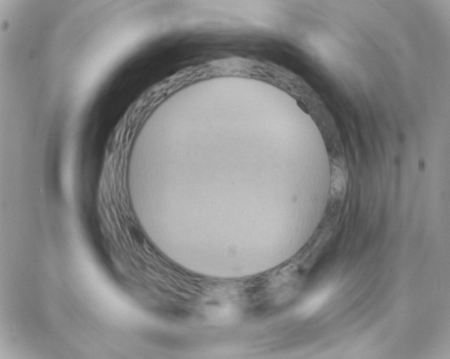 X0000087740431200706041041