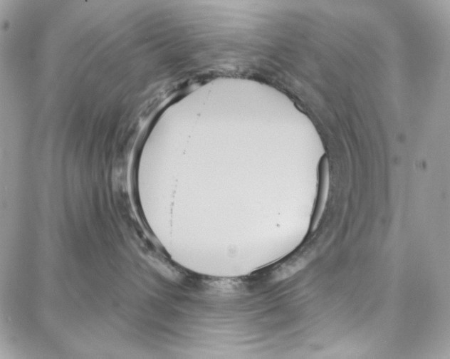 X0000087740432200706041041