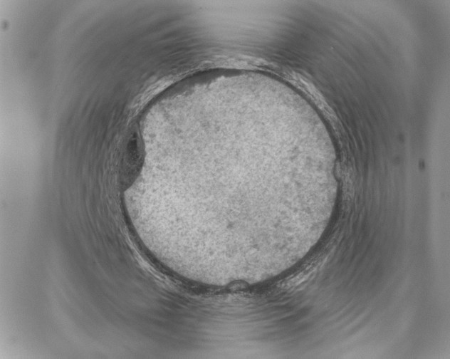 X0000087740433200706041040