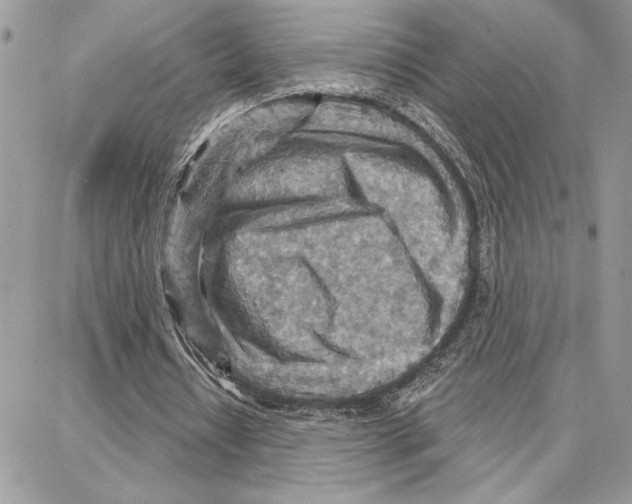 X0000087740434200706041040