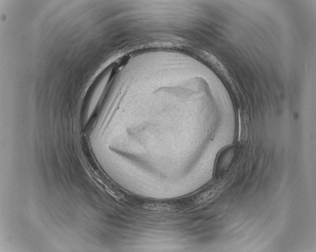 X0000087740435200706041040