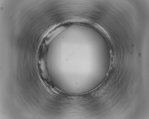 X0000087740436200706041040