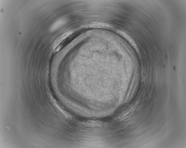 X0000087740437200706041040