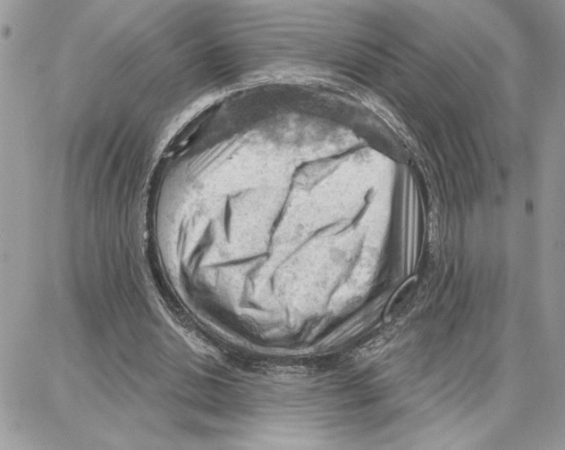 X0000087740438200706041040