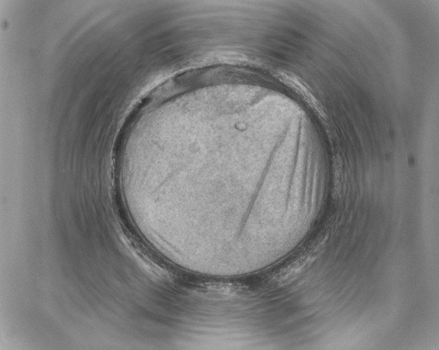 X0000087740439200706041040