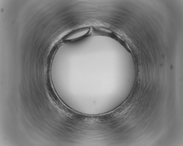 X0000087740440200706041041