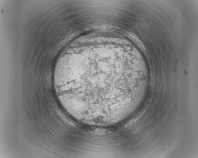 X0000087740441200706041041