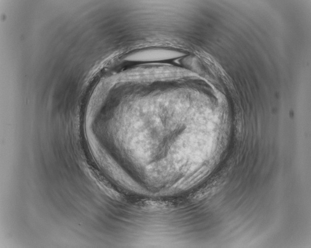 X0000087740442200706041041