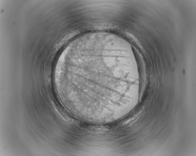 X0000087740443200706041041