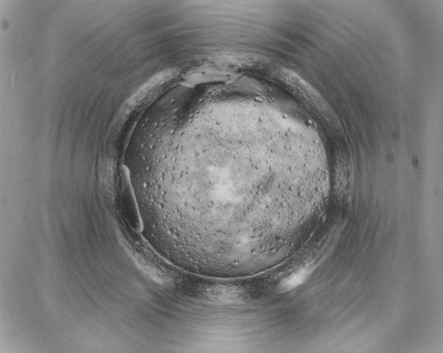 X0000087740444200706041041